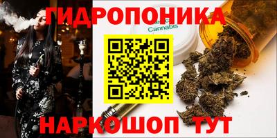 Альфа ПВП Комсомольск-на-Амуре