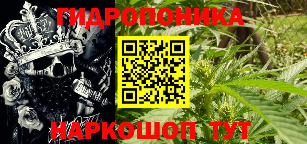 Бошки Шишки гибрид Канаш